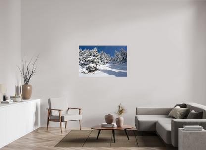 Hiver / Winter