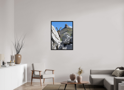 Bouquetin / Ibex