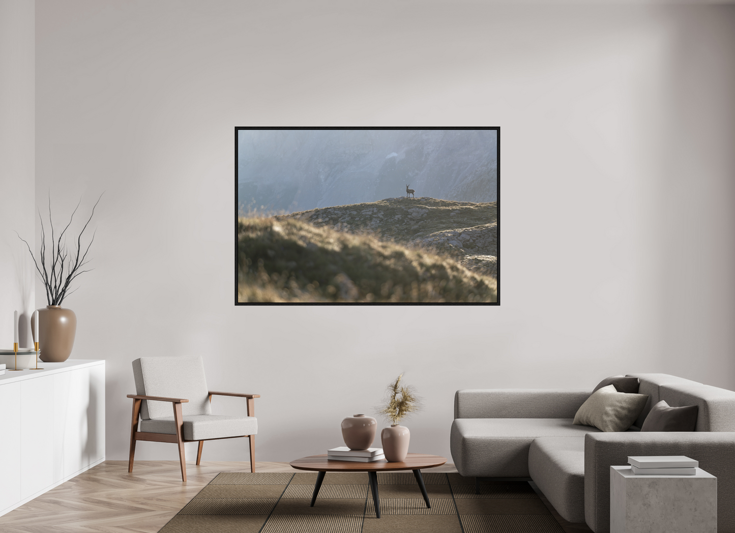 Bouquetin / Ibex