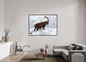 Bouquetin / Ibex