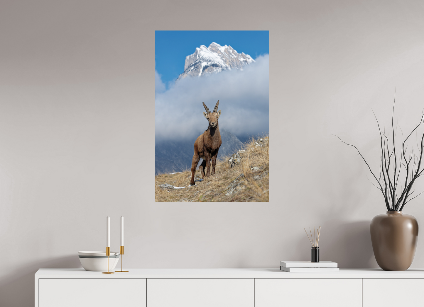 Bouquetin / Ibex