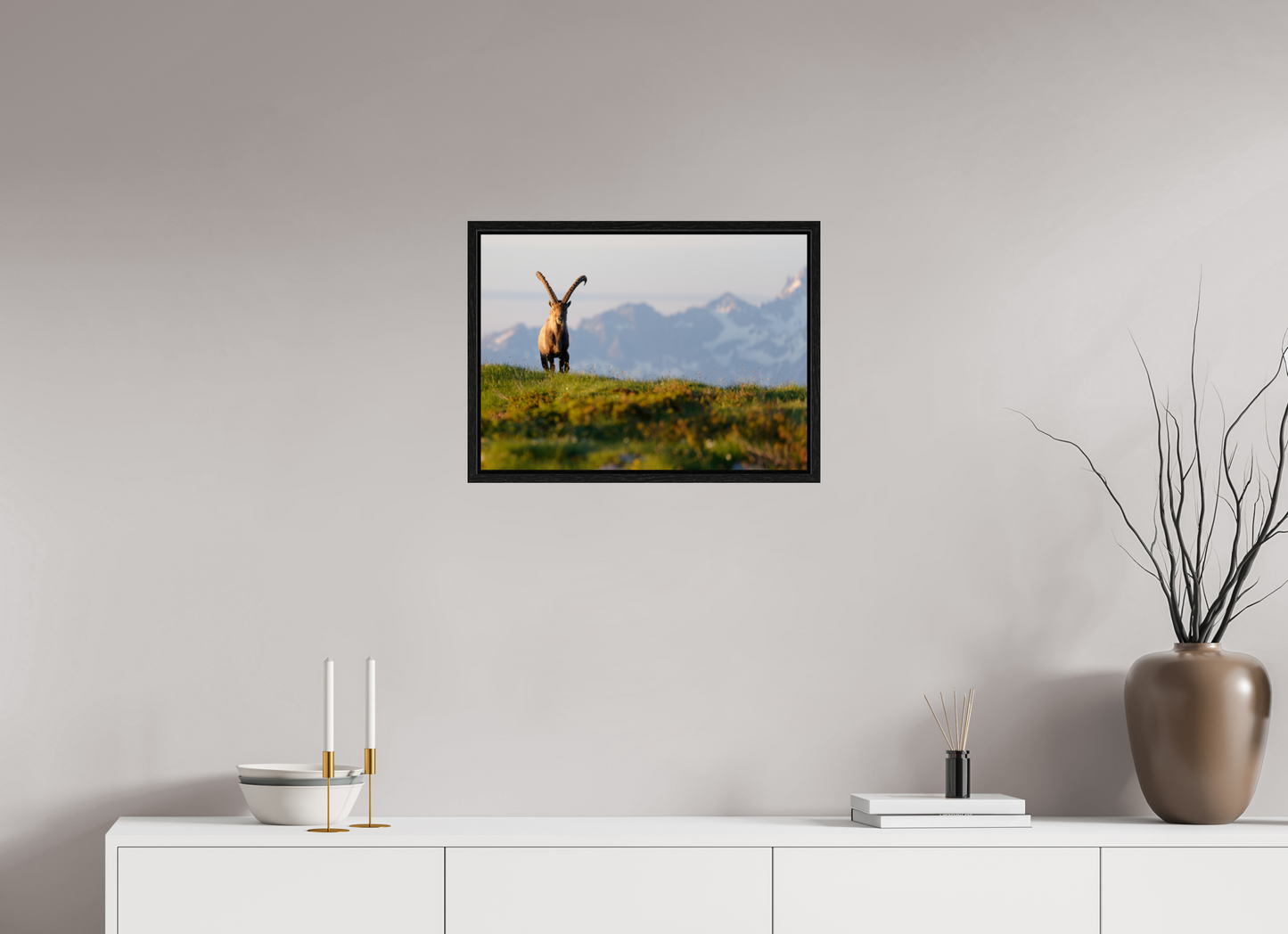 Bouquetin / Ibex