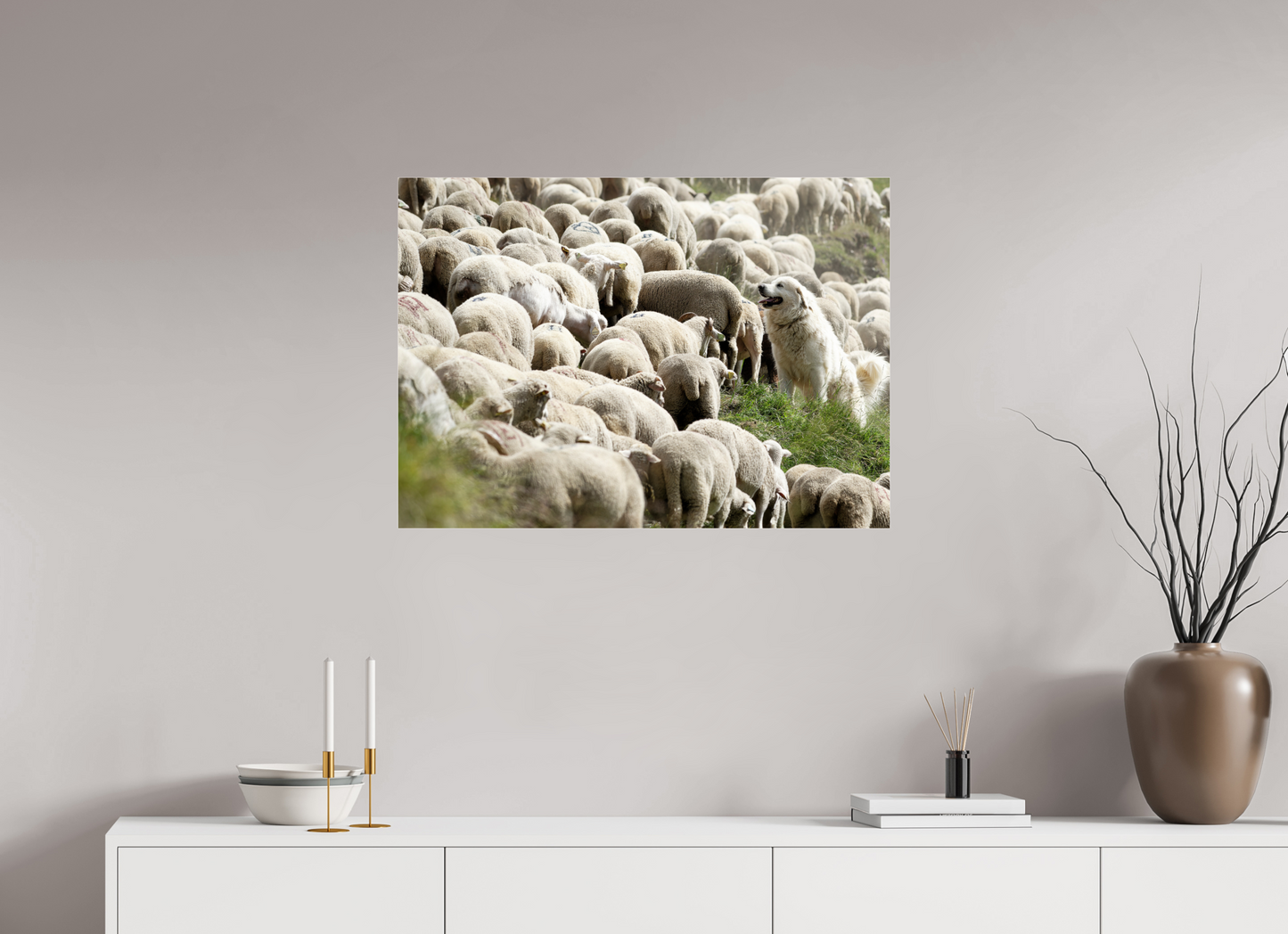 Autres animaux / Other animals