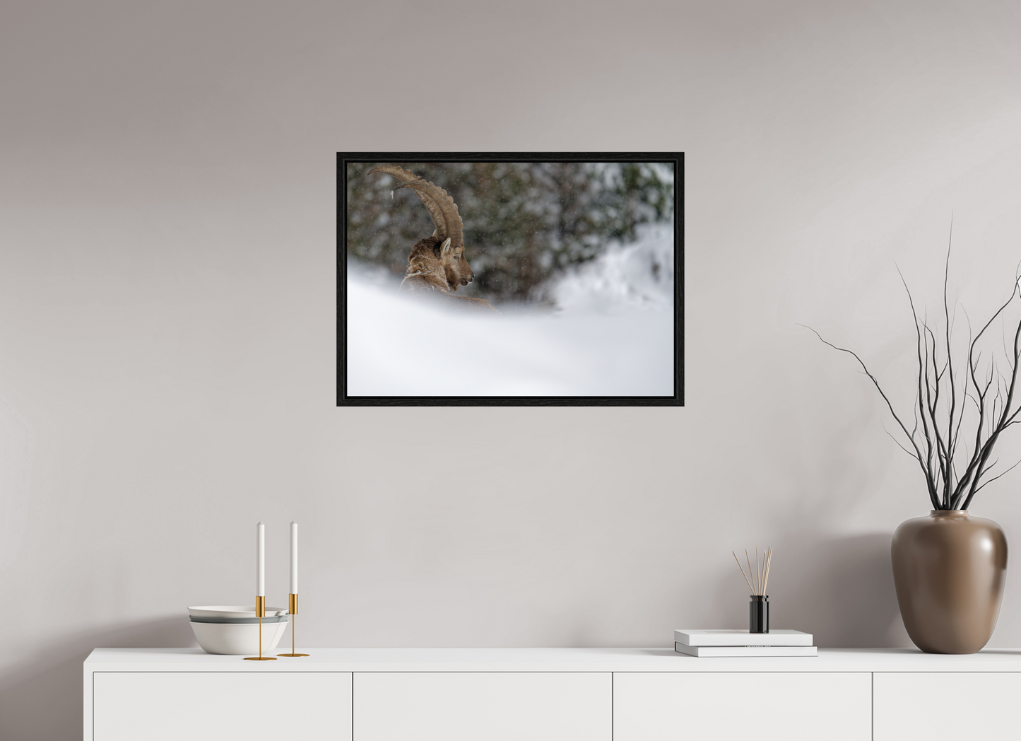 Bouquetin / Ibex