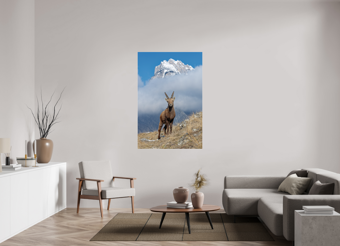 Bouquetin / Ibex