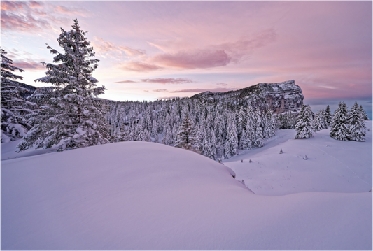 Hiver / Winter