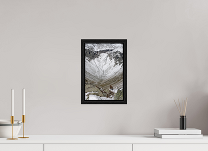 Bouquetin / Ibex