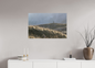 Bouquetin / Ibex