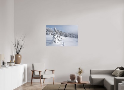 Hiver / Winter