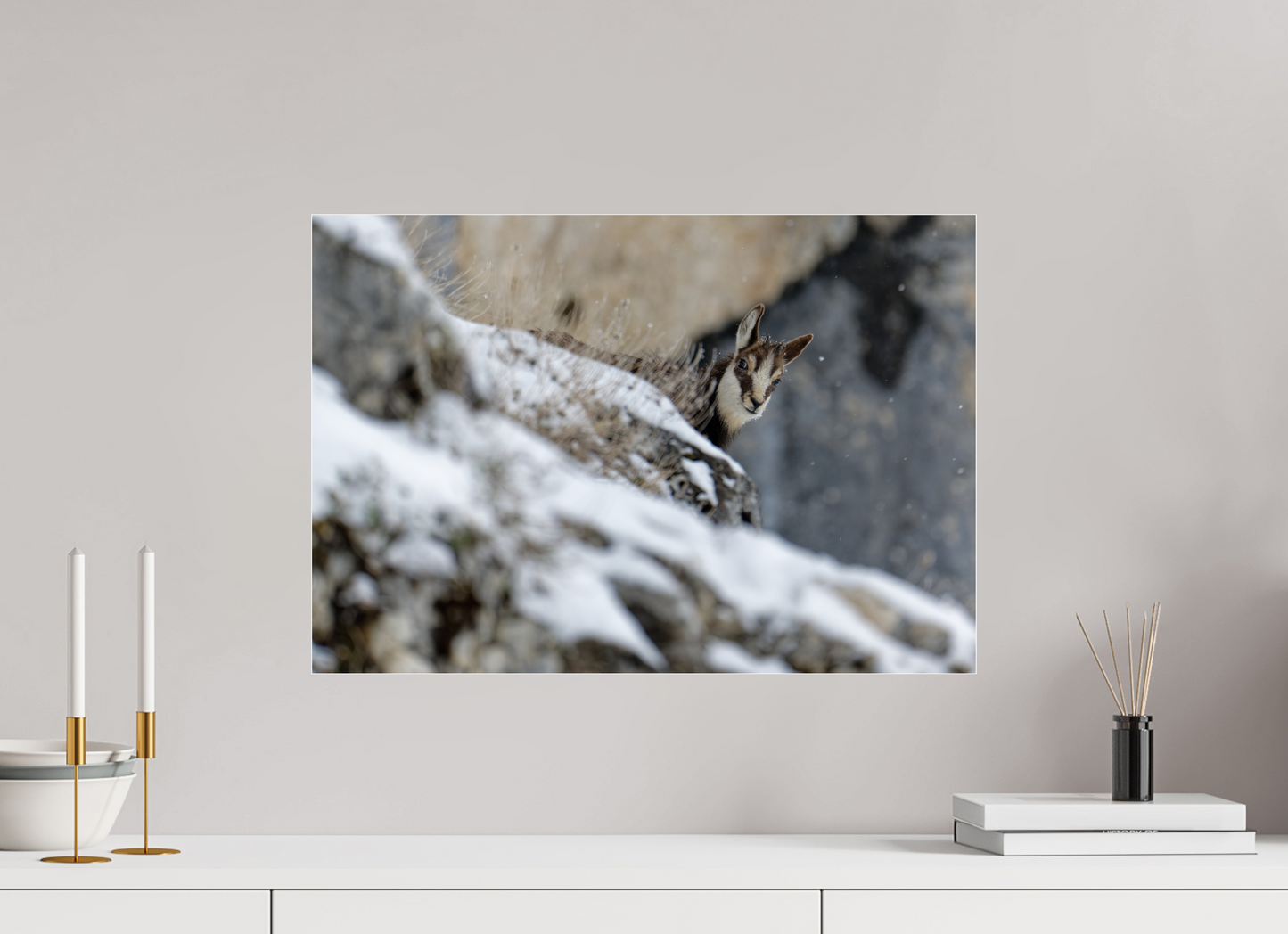Chamois