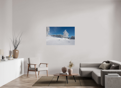 Hiver / Winter