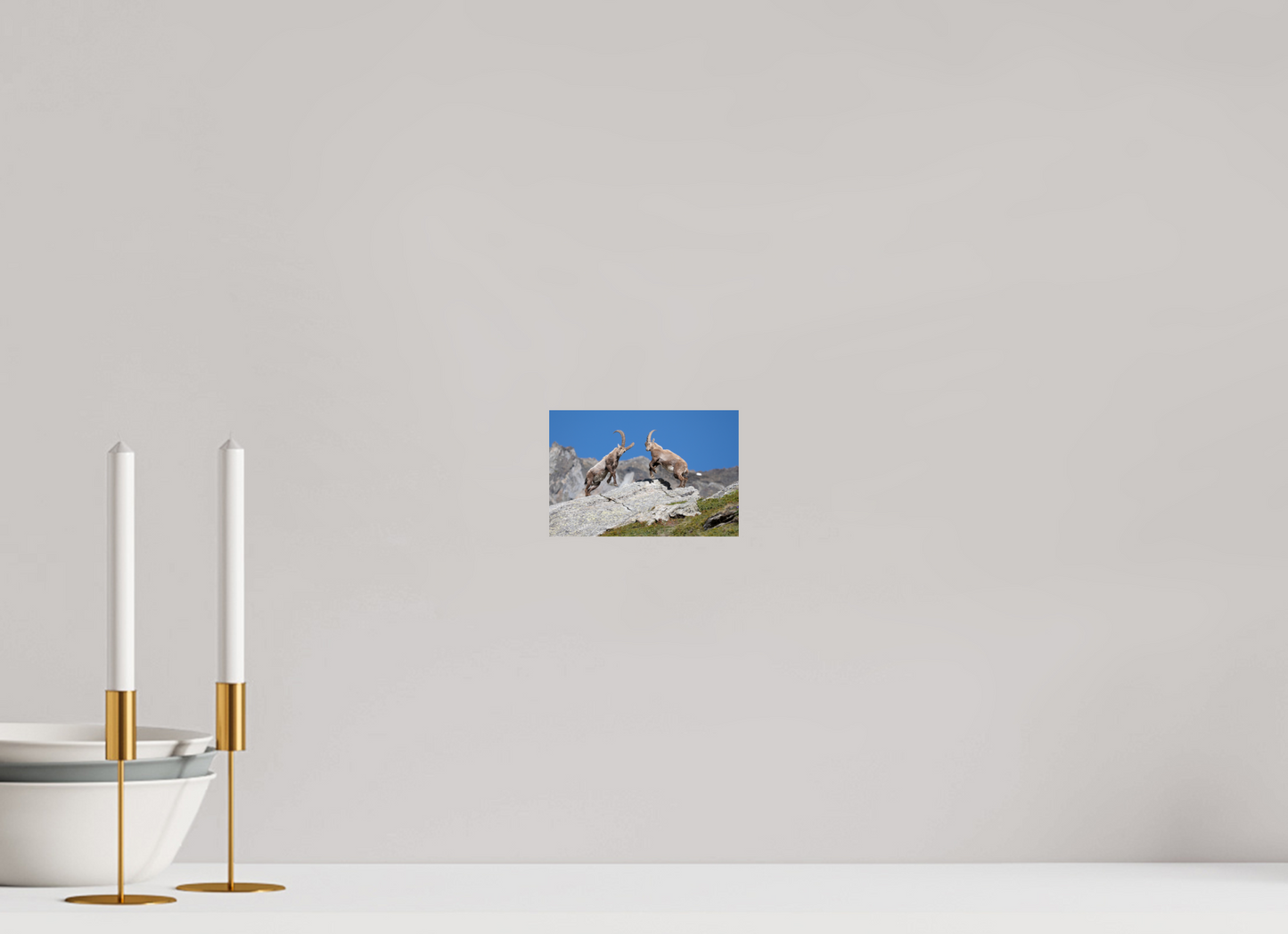 15 x 10 cm, Photo Print On Fuji Crystal DP II Bouquetin / Ibex