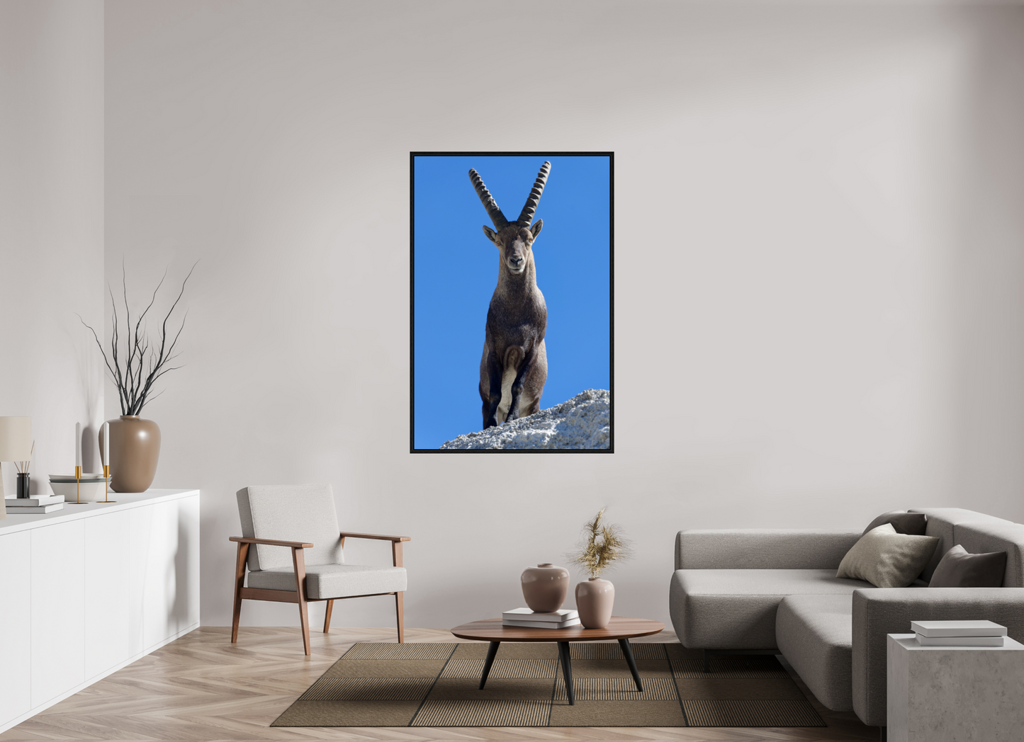 Bouquetin / Ibex