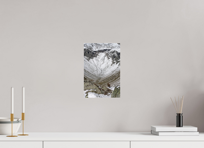 Bouquetin / Ibex