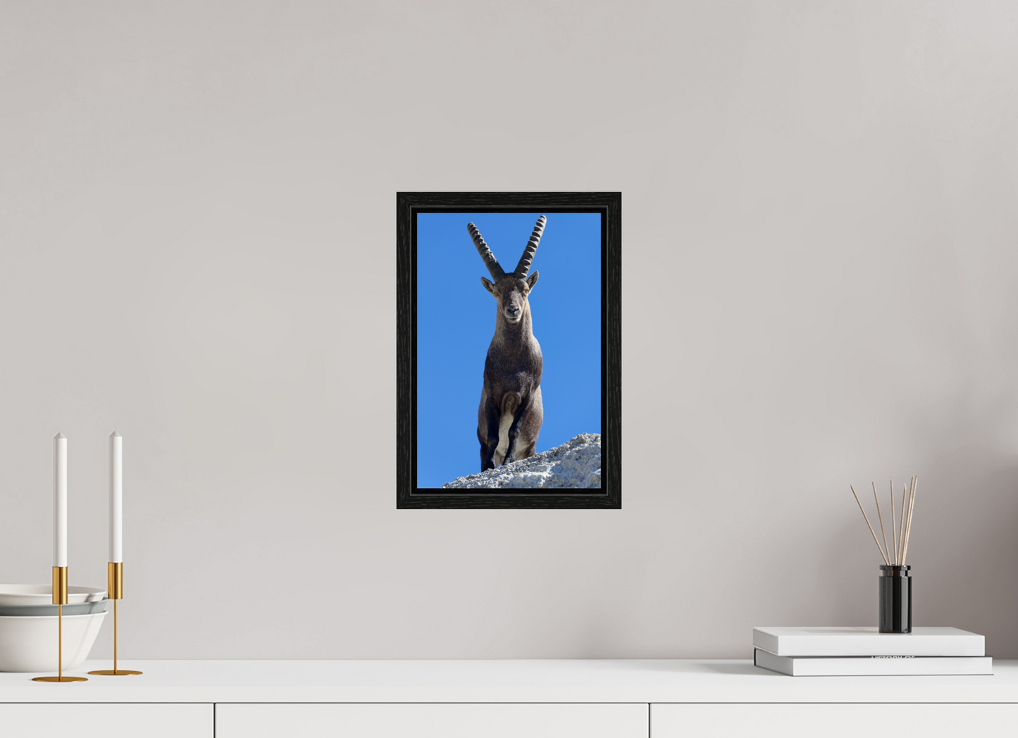 Bouquetin / Ibex