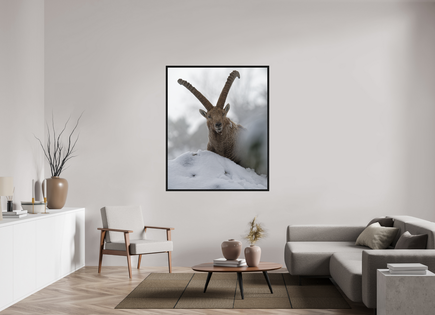 Bouquetin / Ibex