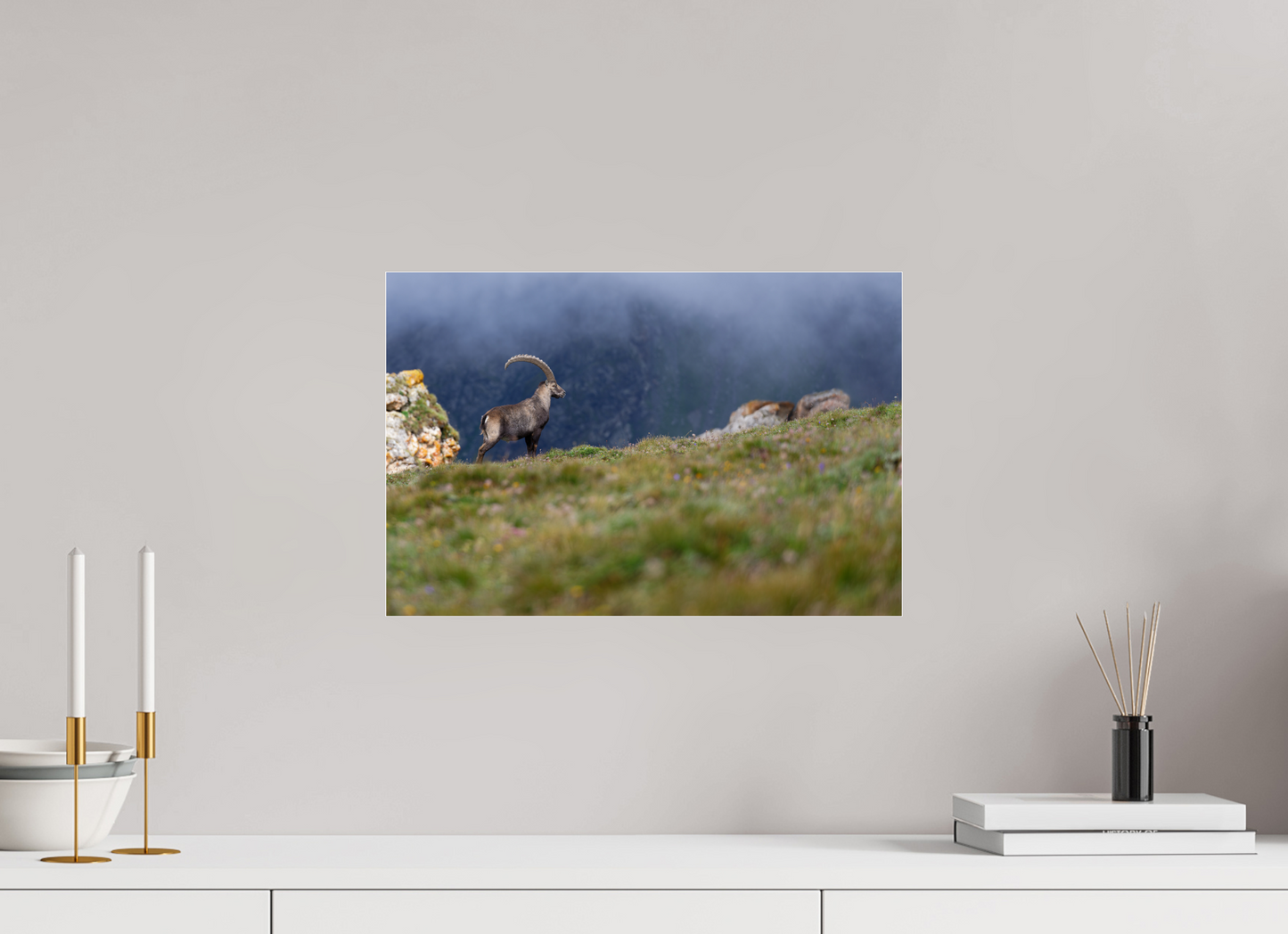 Bouquetin / Ibex