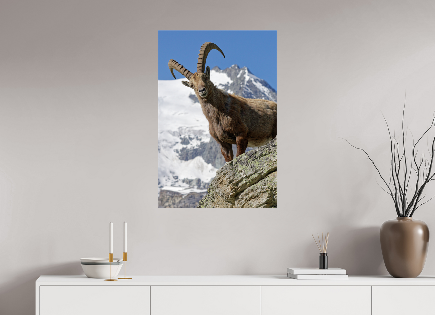 Bouquetin / Ibex