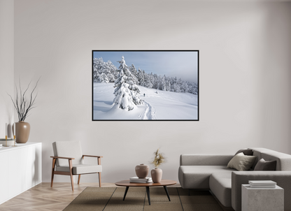Hiver / Winter