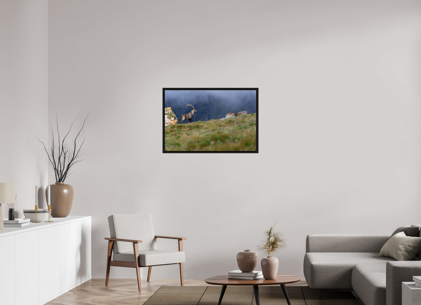 Bouquetin / Ibex