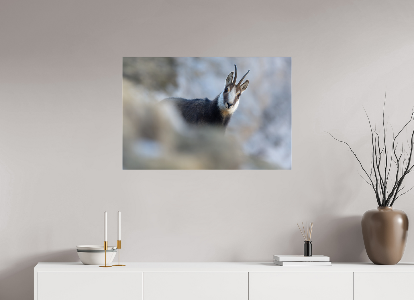 Chamois