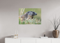 Marmotte / Groundhog