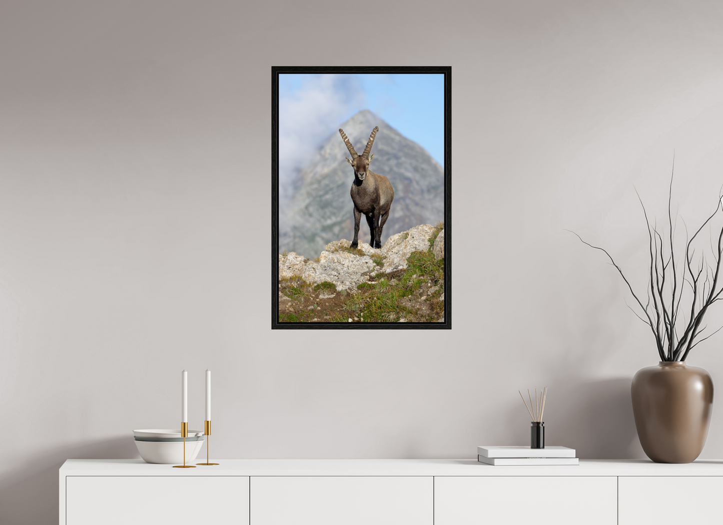 Bouquetin / Ibex