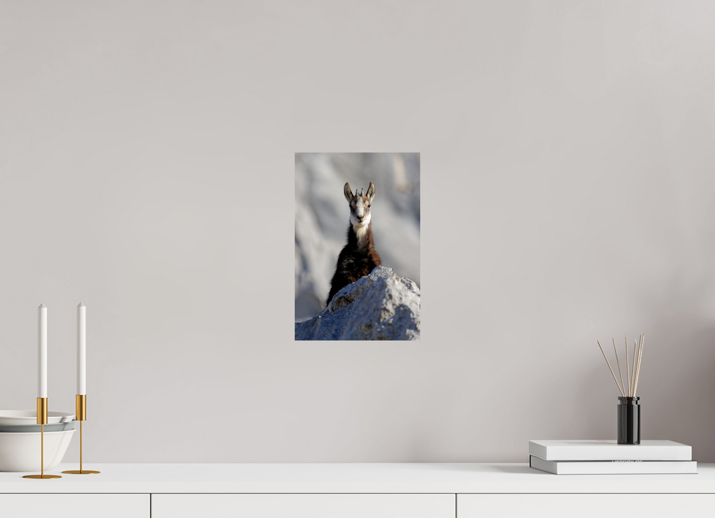 Chamois