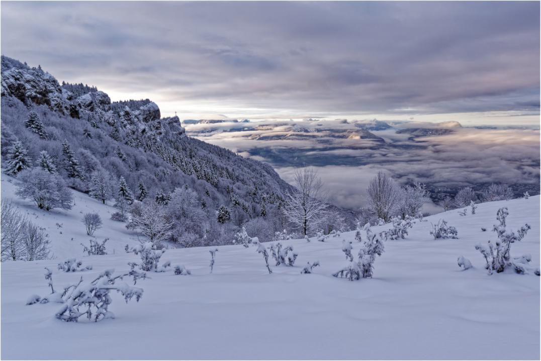 Hiver / Winter