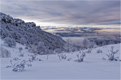 Hiver / Winter