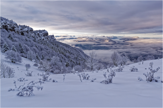 Hiver / Winter