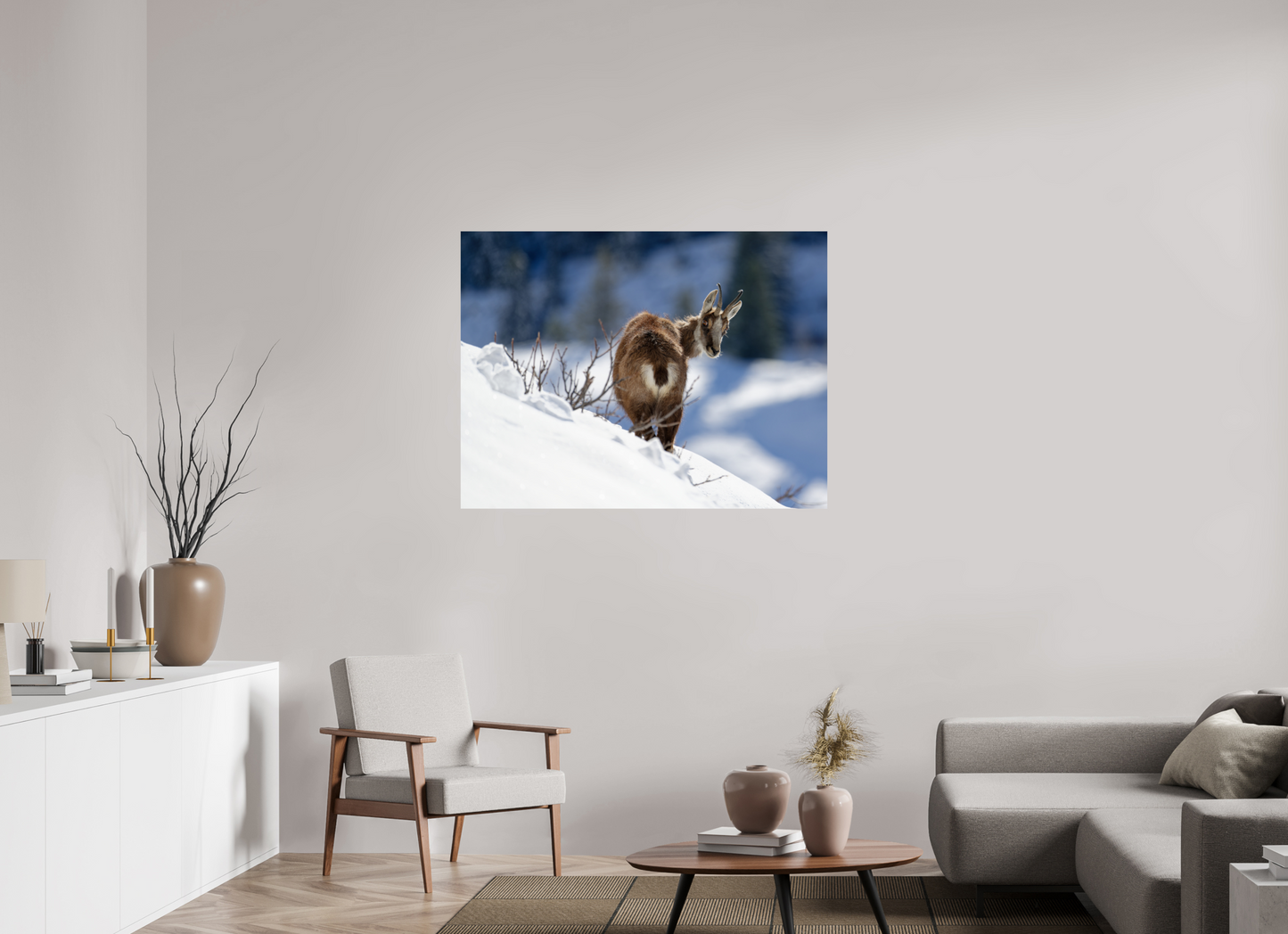Chamois