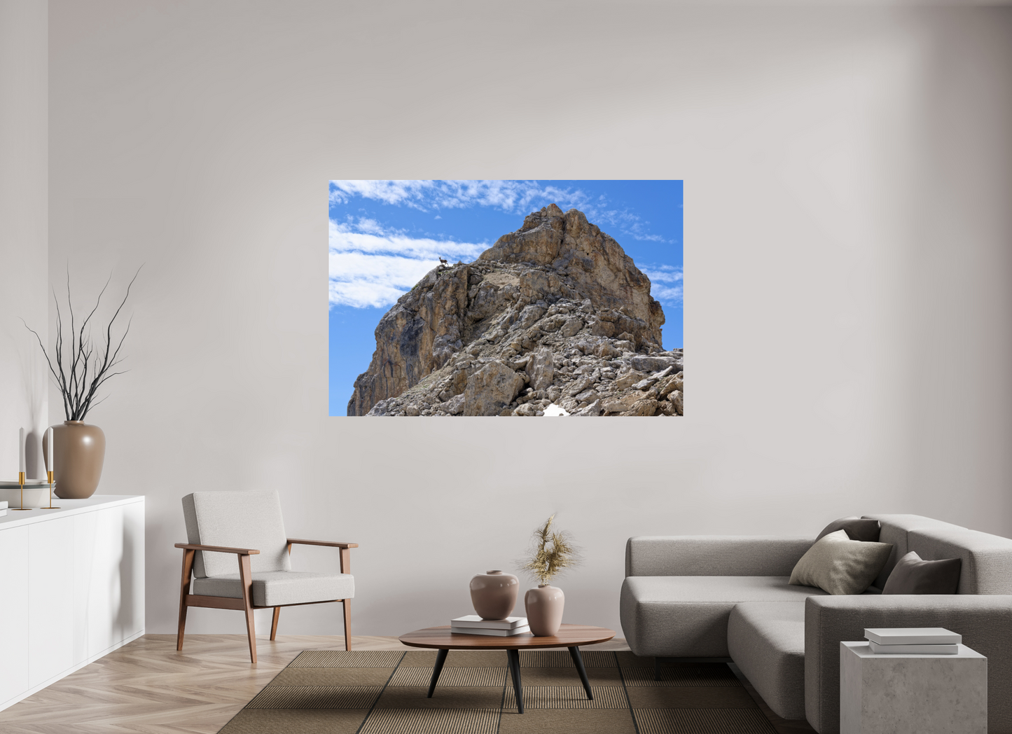 Bouquetin / Ibex
