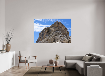 Bouquetin / Ibex