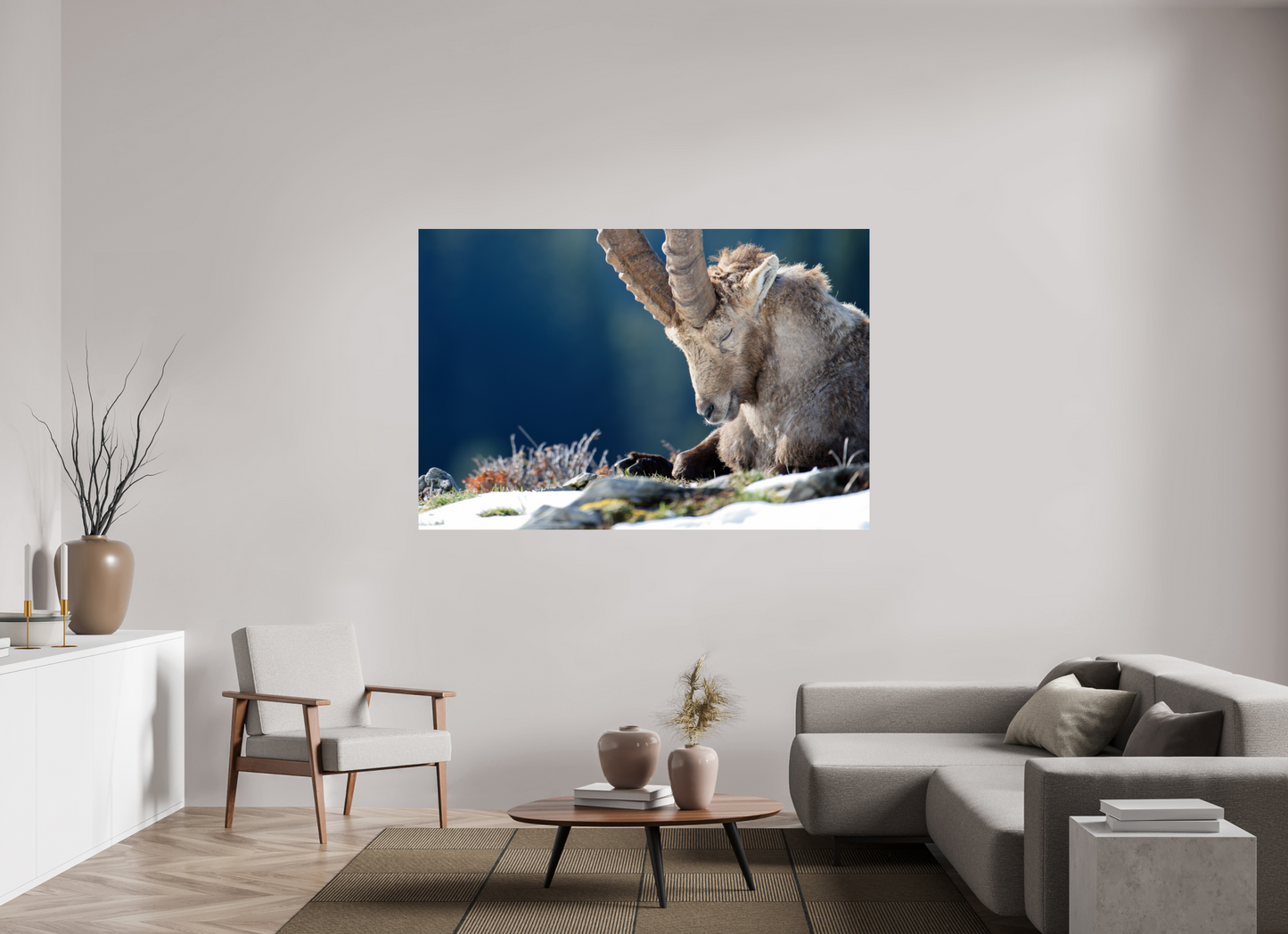 Bouquetin / Ibex