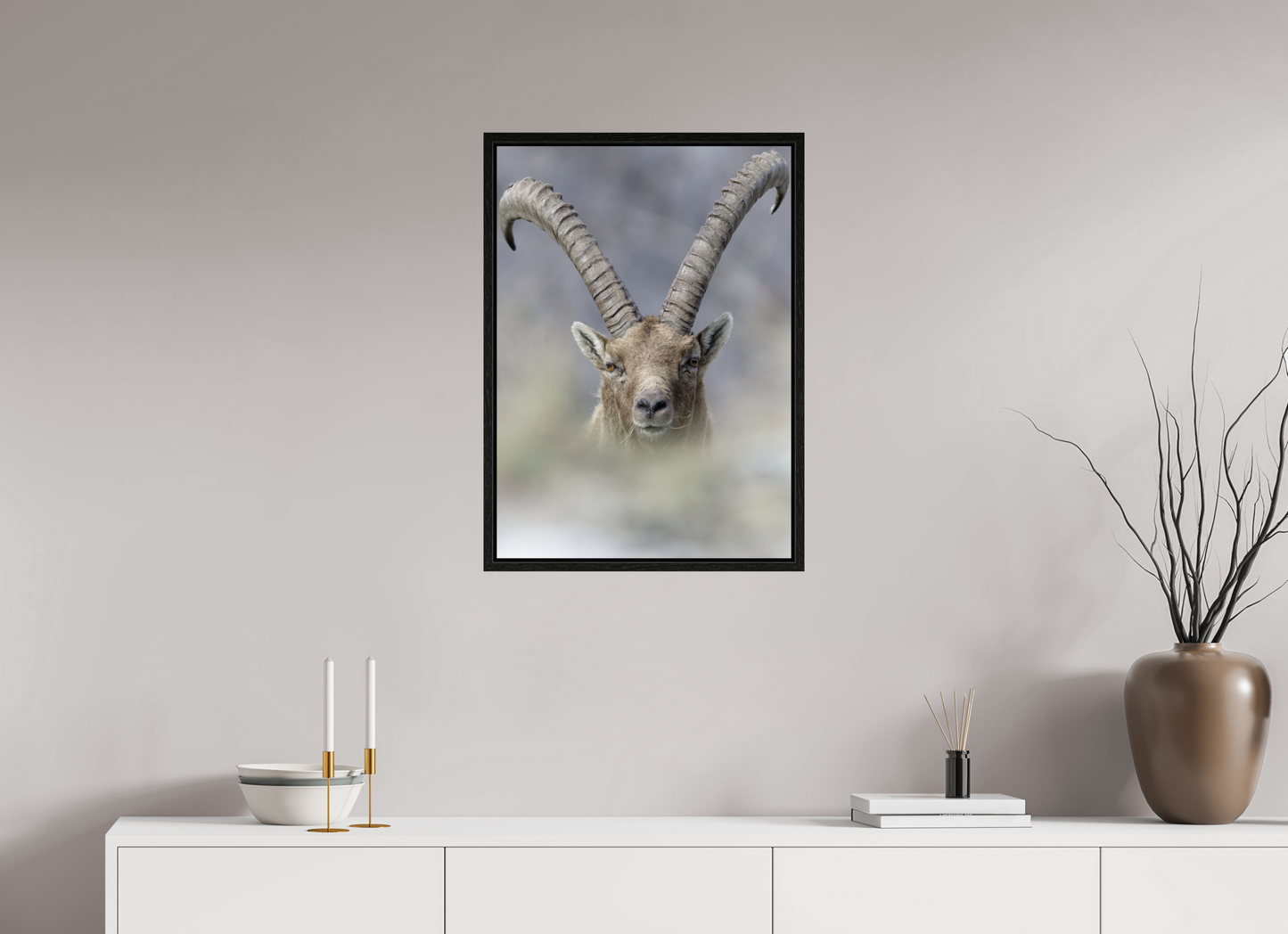 Bouquetin / Ibex