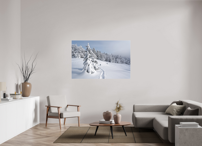 Hiver / Winter