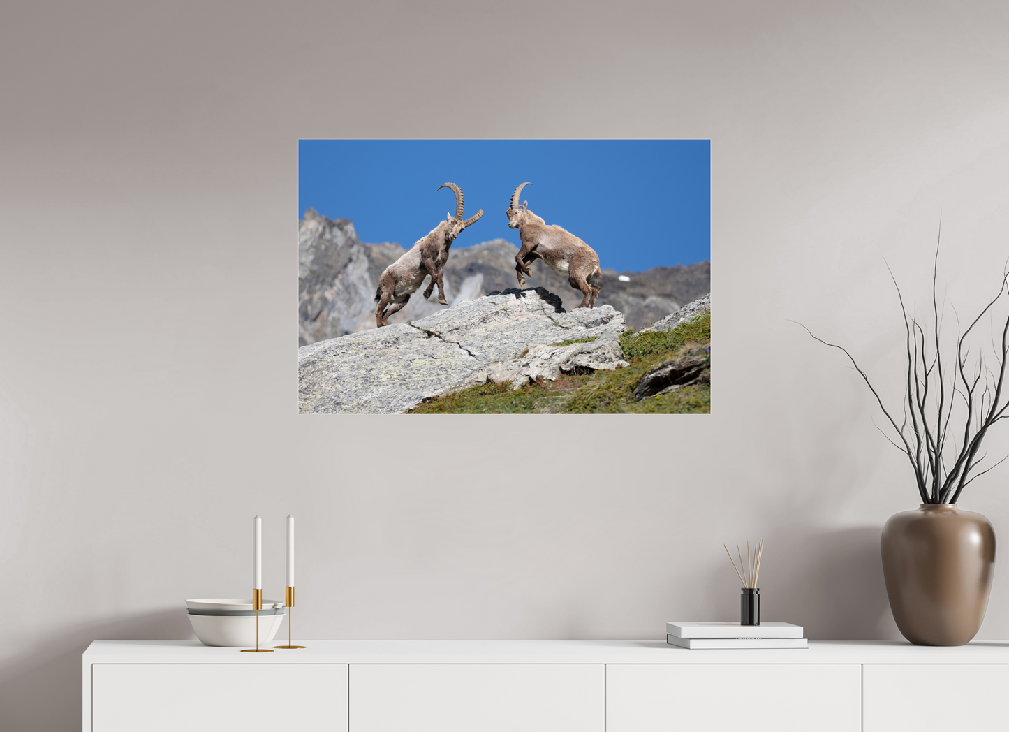 90 x 60 cm, Photo Print Under Acrylic Glass Bouquetin / Ibex