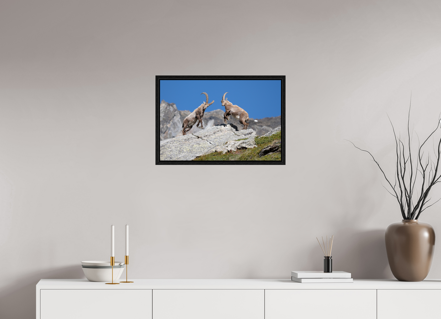 60 x 40 cm, Floater Frame Bouquetin / Ibex