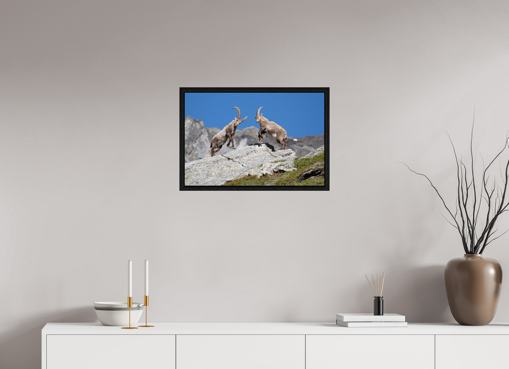 60 x 40 cm, Floater Frame Bouquetin / Ibex