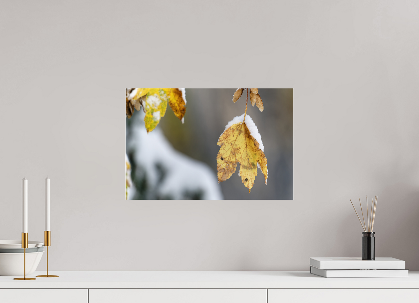 Automne / Autumn