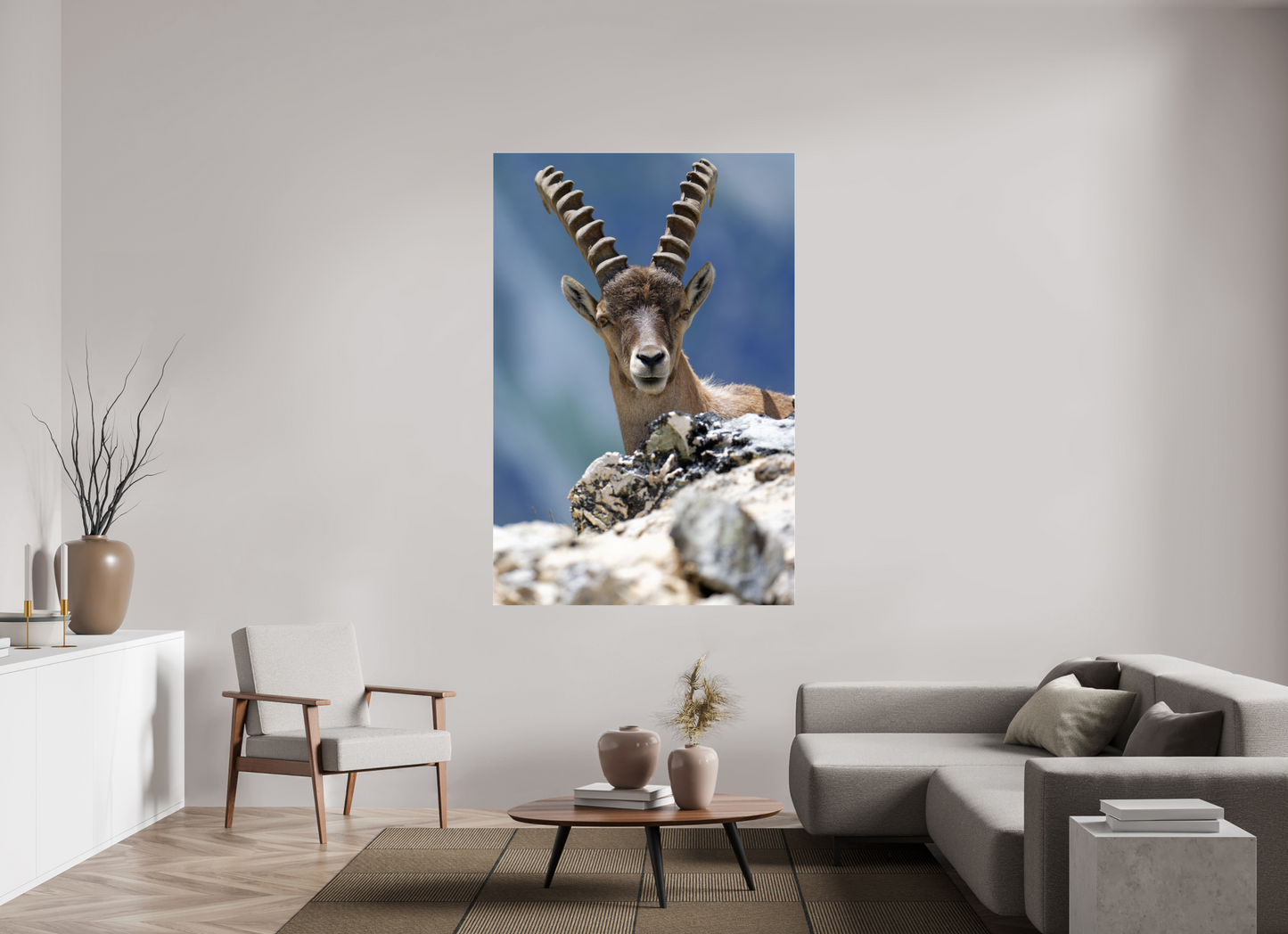 Bouquetin / Ibex