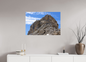 Bouquetin / Ibex