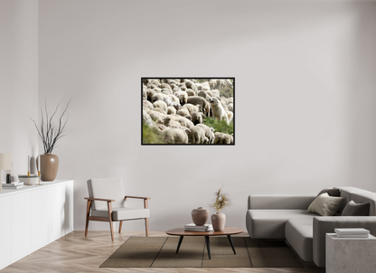 Autres animaux / Other animals