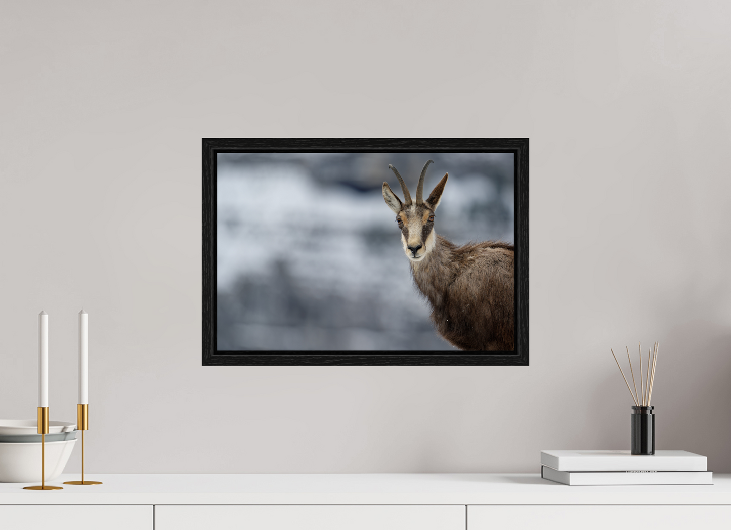 Chamois