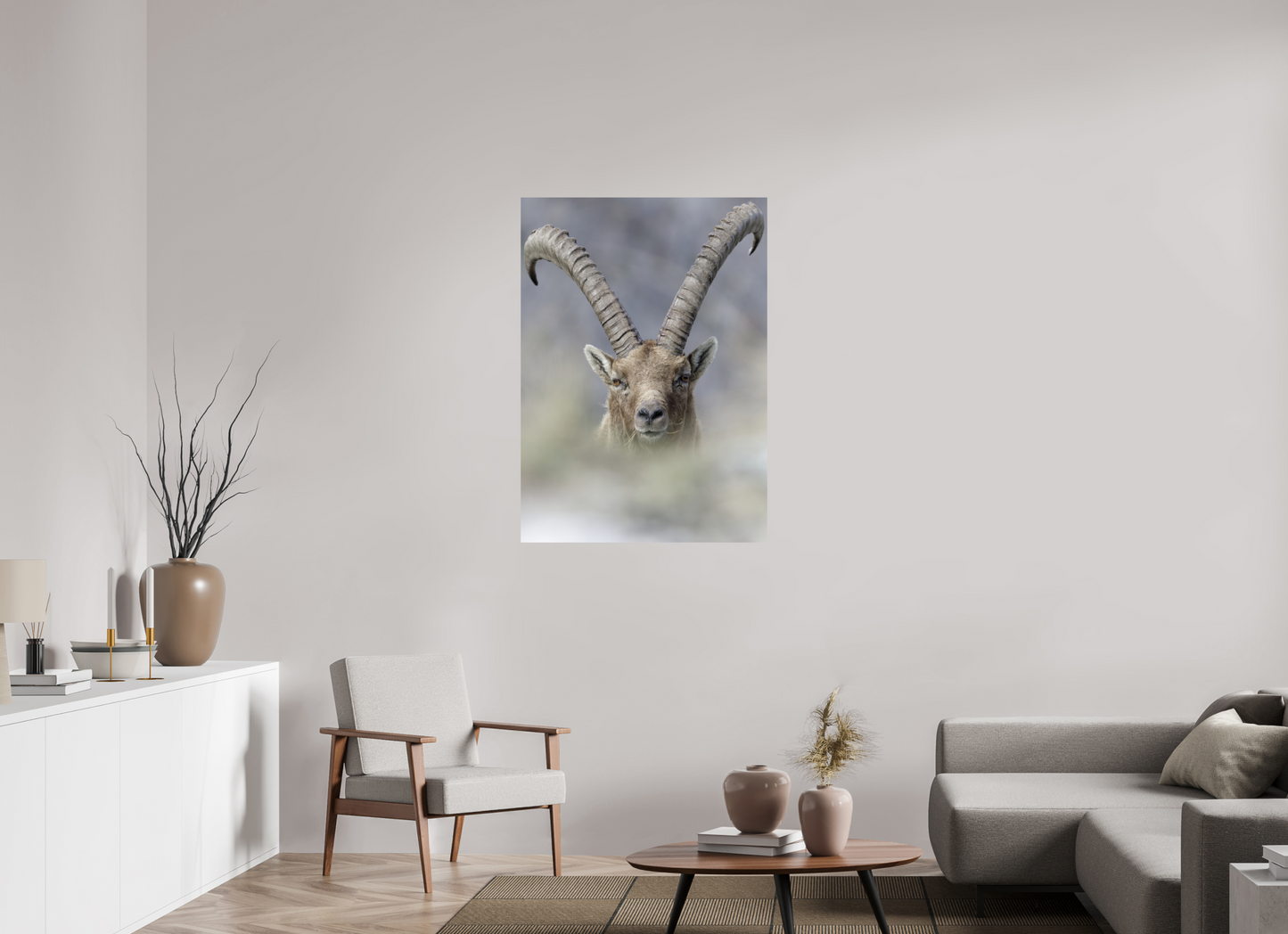 Bouquetin / Ibex
