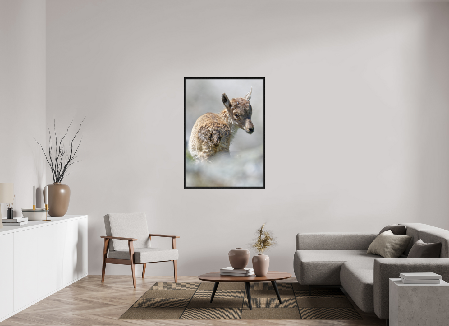 Bouquetin / Ibex