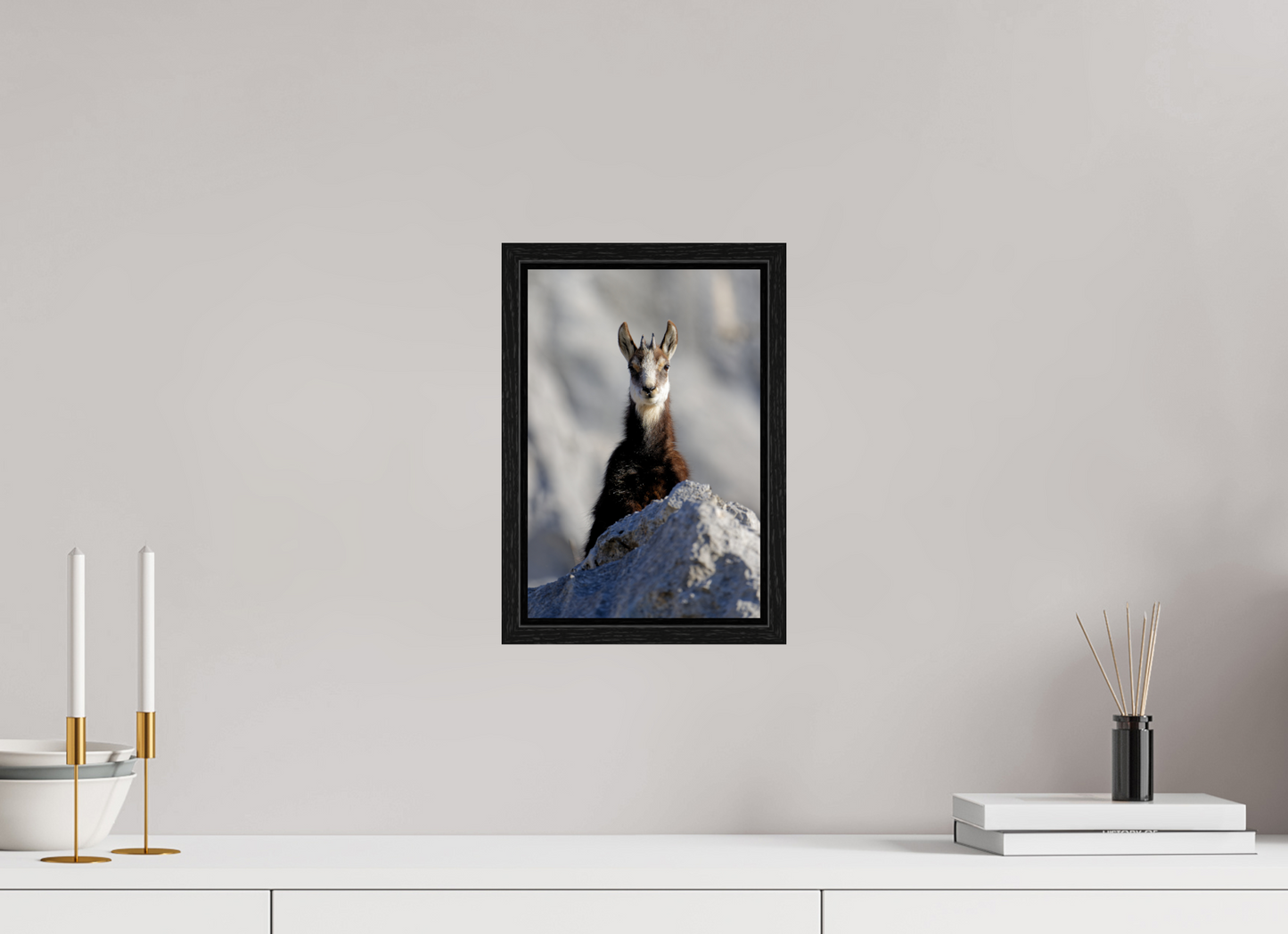 Chamois
