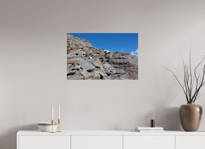 Bouquetin / Ibex
