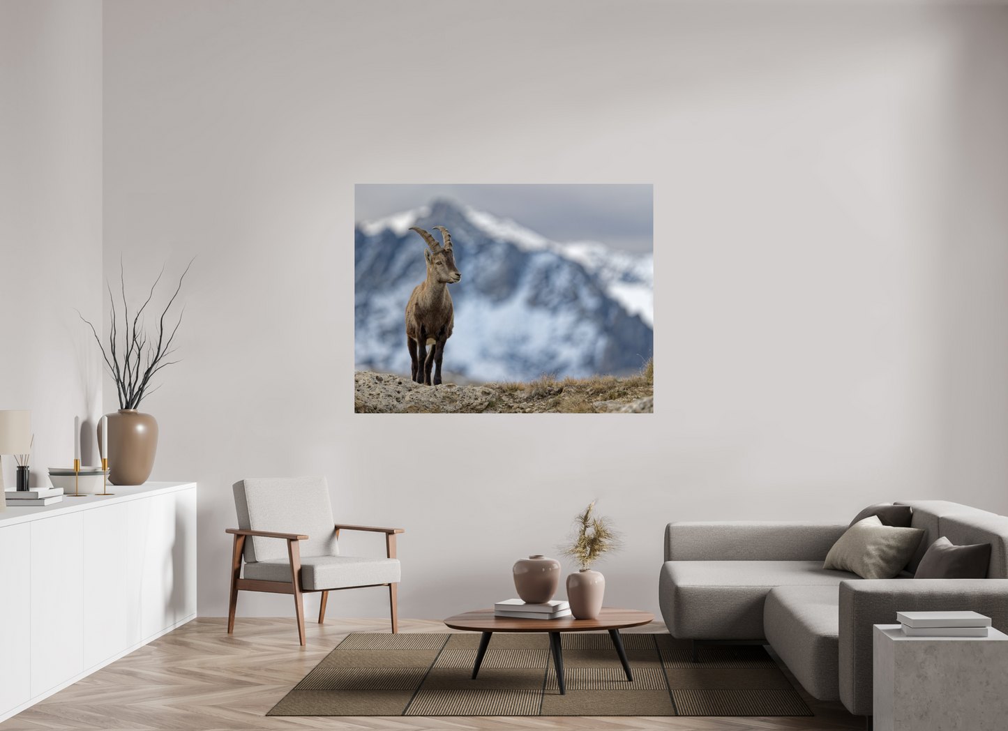 Bouquetin / Ibex